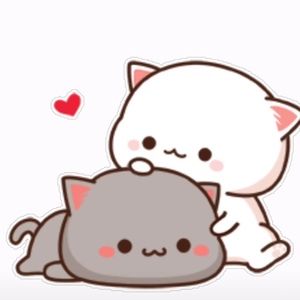 Meet your Posher, Rohit